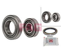 FAG 713 6671 00 Wheel bearing kit