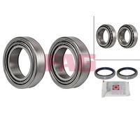 FAG 713 6900 90 Wheel bearing kit