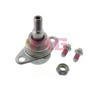 FAG 825 0118 10 Ball Joint