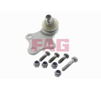 FAG 825 0189 10 Ball Joint