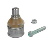 FAG 825 0246 10 Ball Joint
