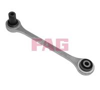 FAG 840 0541 10 Rod Assembly