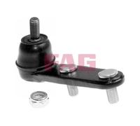 FAG 825 0042 10 Ball Joint