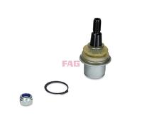 Fits FAG-ELEMENTY ZAWIESZENIA 825 0485 10 CONTROL ARM BALL JOINT FRONT LEFT/RIG