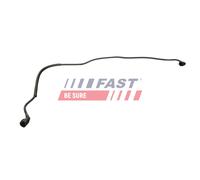 FAST FT00252 Radiator hose