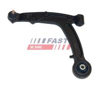 CONTROLTRAILING ARM WHEEL SUSPENSION FT15129 FOR FIAT PANDA/Hatchback/Van 1.2L