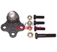 Wishbone Pin Lower FT17121 FAST for RENAULT MERCEDES-BENZ
