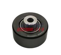 FAST FT44699 Tensioner pulley