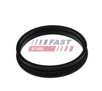 FAST FT48505 Seal, fuel sender unit