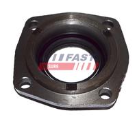 SHAFT SEAL DIFFERENTIAL FT49838 FOR FIAT DUCATO/Platform/Chassis/Van/Bus 2.8L