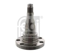 FEBI BILSTEIN 08340 Kingpin, axle beam