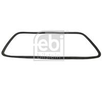 Rear window seal EPDM (ethylene propylene diene Monomer (M-class) rubber) 08893
