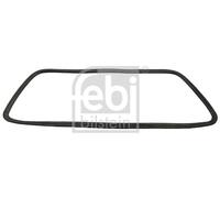 Rear window seal EPDM (ethylene propylene diene Monomer (M-class) rubber) 08893
