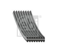 FEBI BILSTEIN 177989 Serpentine belt