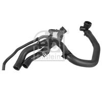 FEBI BILSTEIN 179893 Radiator hose