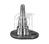 FEBI BILSTEIN 18348 Kingpin, axle beam