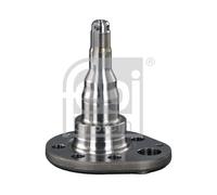 FEBI BILSTEIN 18348 Kingpin, axle beam