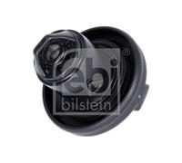 FEBI BILSTEIN 184473 Fuel cap