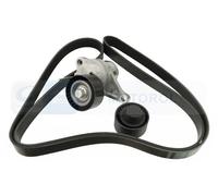 FEBI BILSTEIN 184509 V-Ribbed Belt Set