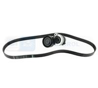 FEBI BILSTEIN 184792 V-Ribbed Belt Set