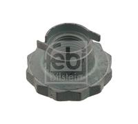 febi bilstein 30028 Axle Nut, pack of one