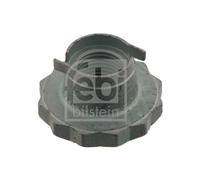 febi bilstein 30028 Axle Nut, pack of one