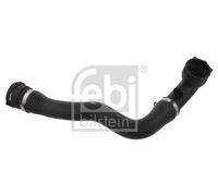 FEBI BILSTEIN Radiator Hose 36596 for BMW X5 (E53) - Lower Right