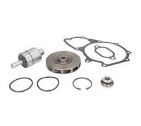 ✅Fits FEBI FE03224 Repair Kit, water pump FE03224 Coolant pump repai ⭐UK Seller⭐
