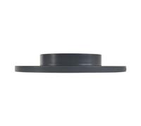 Ferdinand Bilstein Brake Disc 06310 - Front Pair - Fits Volkswagen Caddy, Golf, Cabrio, Van, Varian