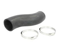 febi bilstein 49101 Radiator Hose with additional parts, pack of one