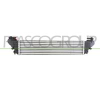 PRASCO FT040N001 Intercooler