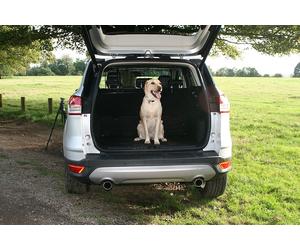 fits Fiat 500X 2014 onwards Car Headrest Black Mesh Dog Guard by UKB4C