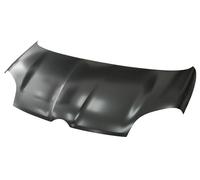 Fits Fiat Panda Trekking 2013- Bonnet 80165020