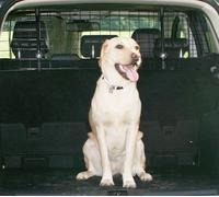 fits Fiat Punto/Grande Punto 2005-2017 Car Headrest Black Mesh Dog Guard by UKB4