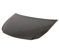 Fits Fiat Sedici Bonnet 2007-