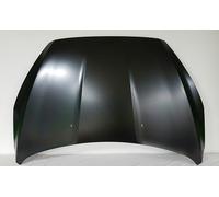 Fits Ford Focus 15-Bonnet Approved 80159064