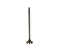 FRECCIA R6802/RNT Exhaust Valves x4 Fits Honda Jazz MK3 Civic MK8 Hatchback