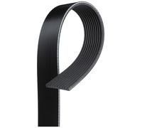 10 Rib Multi V Drive Belt 10PK1340HD Gates 20983634 21955032 7421190824 Quality