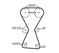 GATES 5255XS Timing Belt