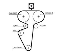 GATES 5539 Timing Belt