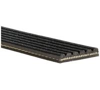 Fits GATES 6PK1010 V-Ribbed Belt DE Stock