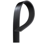 GATES FLEETRUNNER MV - 8PK1005HD