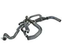GATES 05-3972 Radiator hose