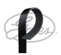 Fits GATES GAT10PK1490HD V-Ribbed Belt DE stock