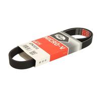 Gates 6PK1010 V-Ribbed Belt
