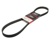 Gates 6PK1138EST V-Ribbed Belt