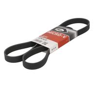 6 Rib Multi V Drive Belt fits FORD TOURNEO CUSTOM V362 2.0D 2015 on Gates New