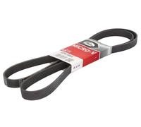 Gates 6PK1855 V-Ribbed Belt