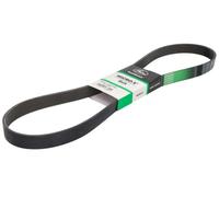 Gates V-Ribbed Belt 8PK1365HD, 1365 mm, 8 Ribs, Fits Mercedes-Benz Vario, New