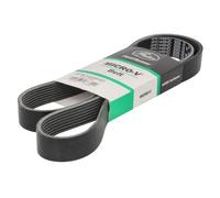 ✅Fits GATES GAT8PK1448HD V-ribbed Belt GAT8PK1448HD Multi-V-belt (8P ⭐UK Seller⭐